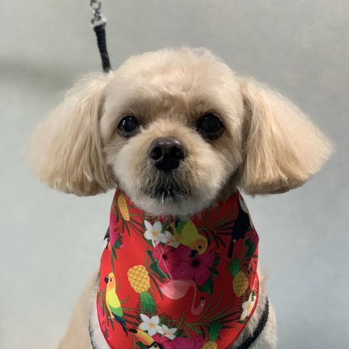 Dc98ba10 cc16 4d99 8c06 6fa917b7e02d 1723011556567