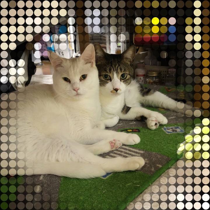 Dc98c503 e4a6 465b 925d 4675b9ce1eef 1657502310365