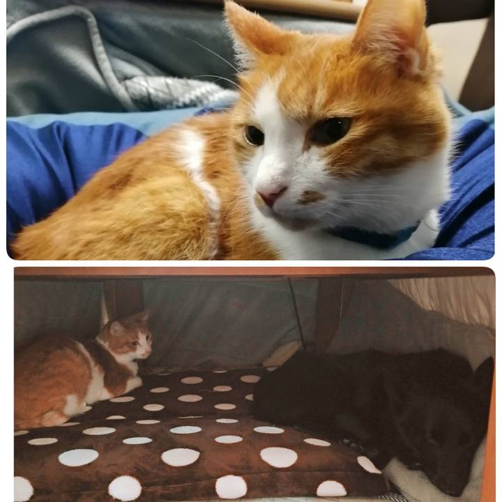 Dc98c5aa 203e 4ace bc5c 3824f1a62632 1615892584452