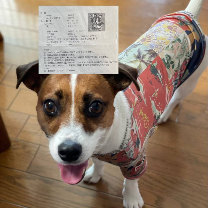 Dc98d62f ef77 43f5 a30a c7ab22ea2769 1625357056648