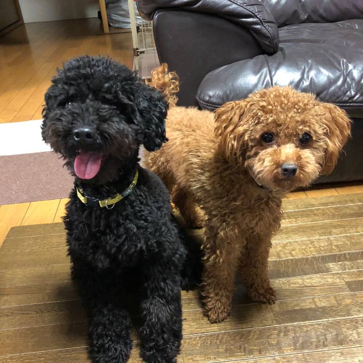 Dc997be2 b9e7 4f2c 85b1 29a894a568de 1508321325271