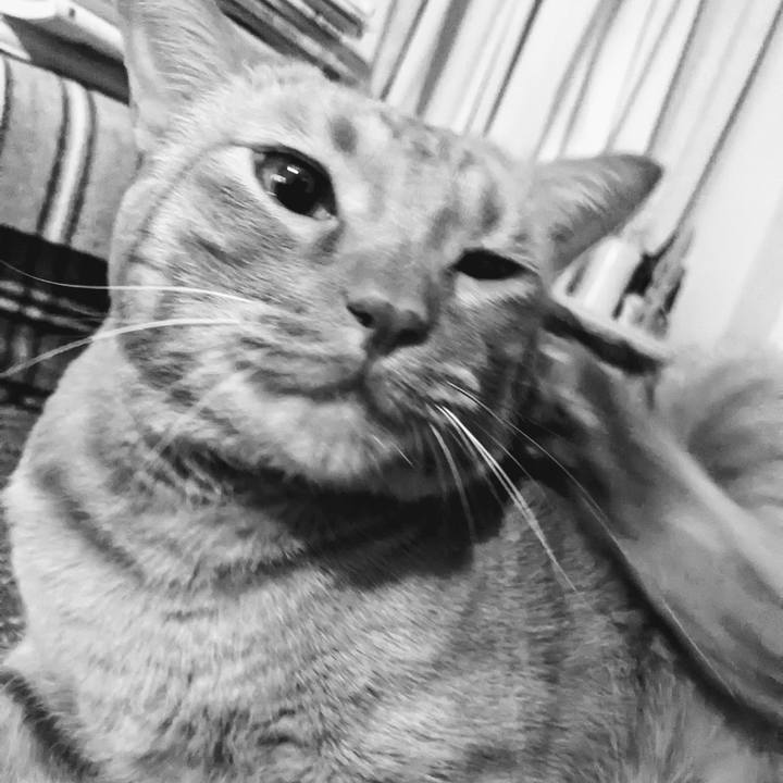 Dc998424 92be 4607 8c9b db27b99ac38e 1669465876537