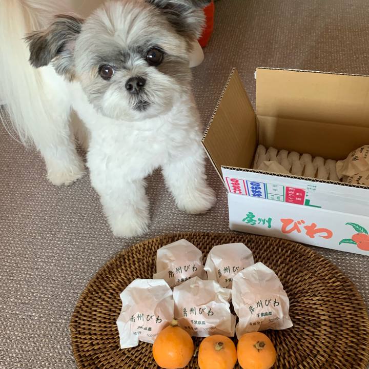 Dc999848 480b 4d64 9bd2 fa53450eb329 1623278523452