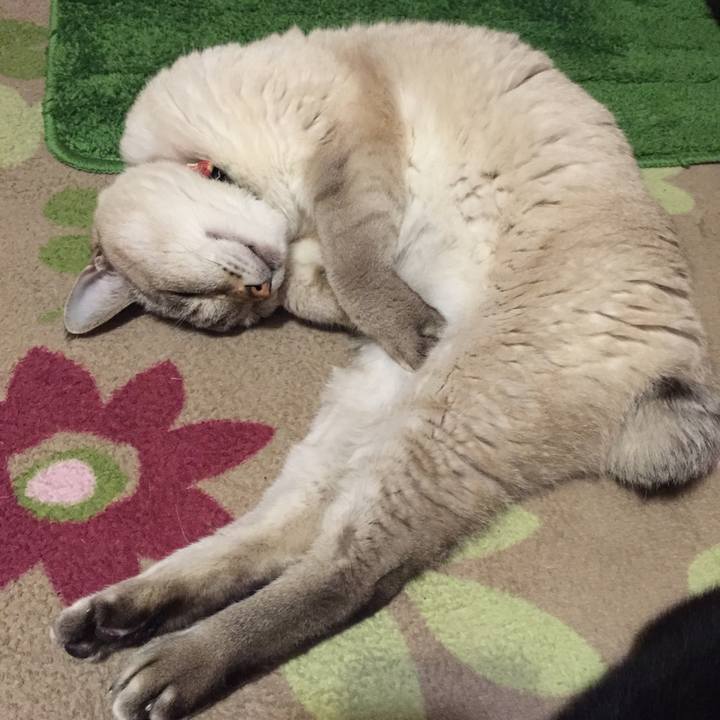 Dc99c02e e599 4cb0 abe7 9e95eeb211f5 1546685564533