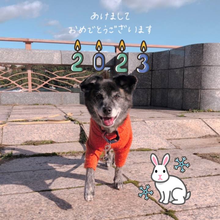 Dc99c686 689f 4967 a9bd 1e7c2fbdb9c1 1673433051853