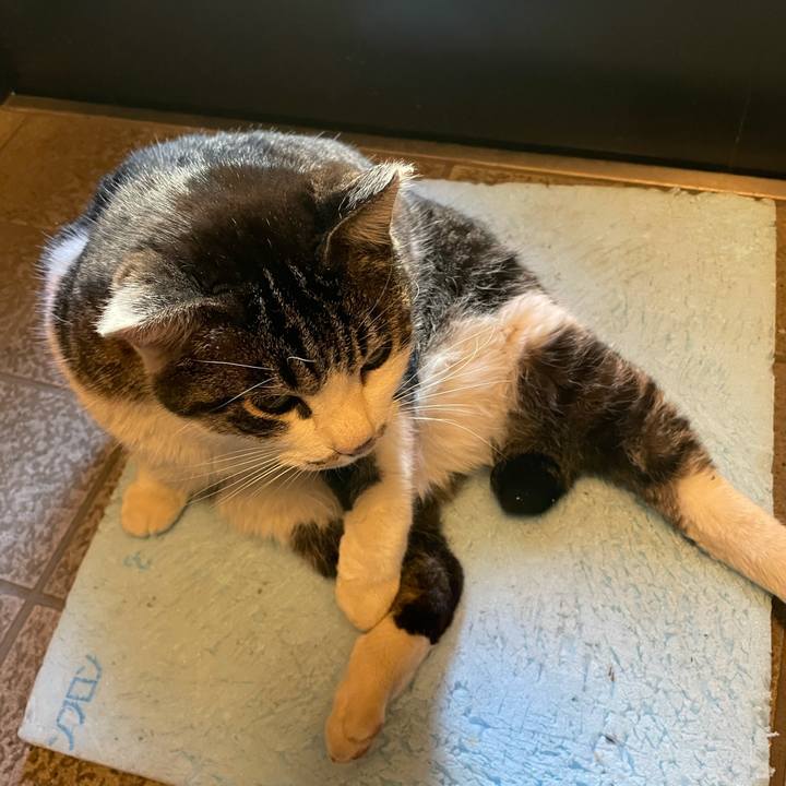 Dc9a2f5c 4d88 411f b091 b2f7e8ac8ce0 1613530339314