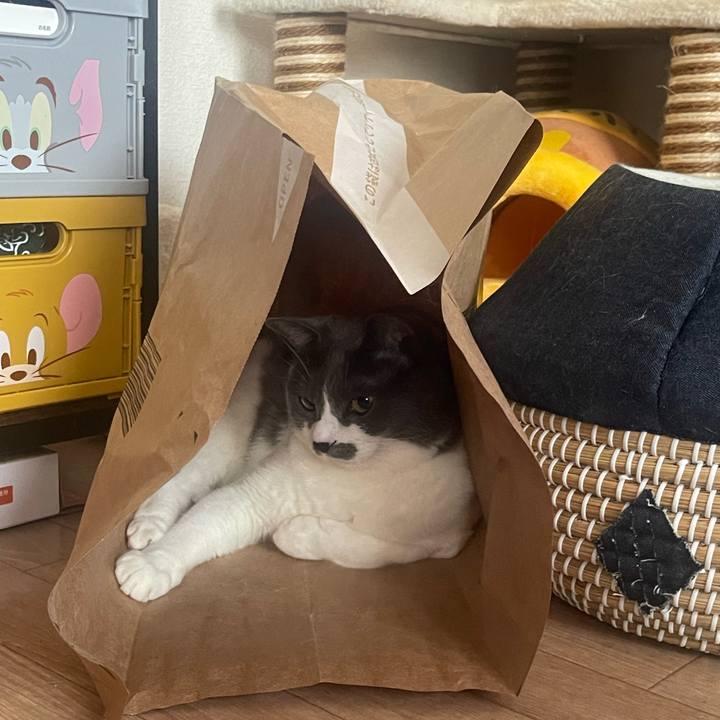 Dc9a3b6e 70c9 450f 8866 e58f78f0f10e 1718408172037