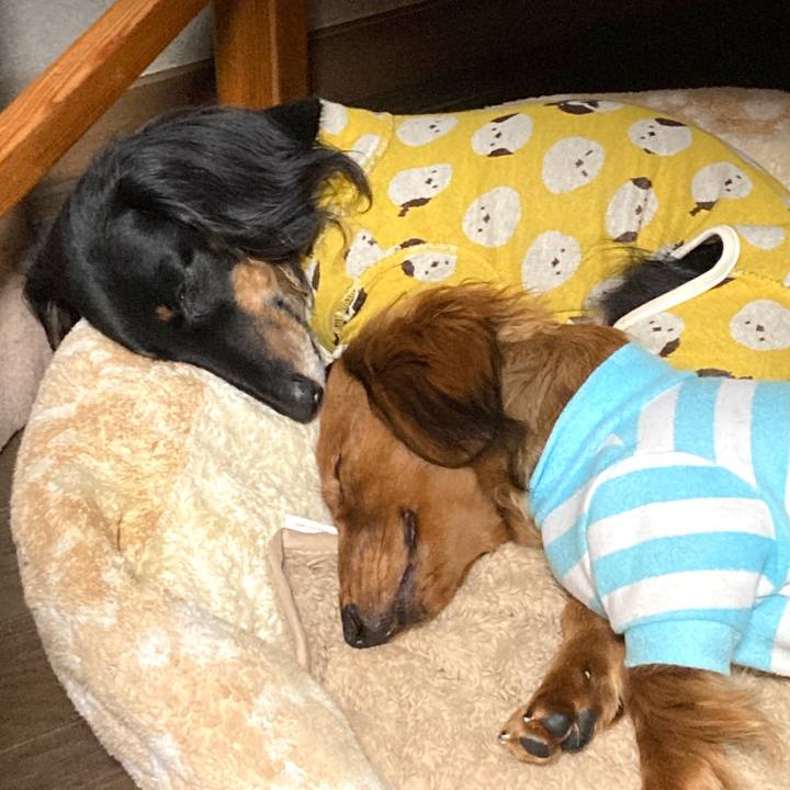 Dc9a498a 04c6 4ef1 b56b 26febdcd1bbd 1709296137793