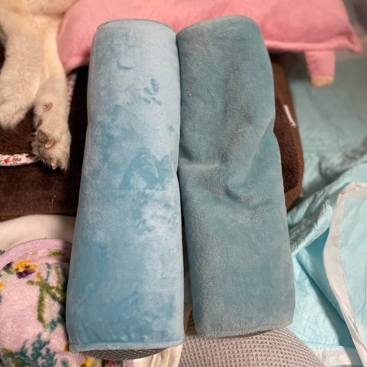 Dc9a5ac7 4007 454c 8559 53f747e48a1d 1646317790881