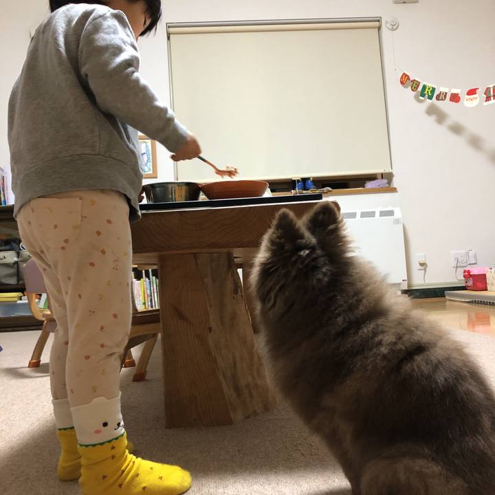 Dc9a6b89 d6fa 4e62 9455 52e3d17ef168 1639641920666