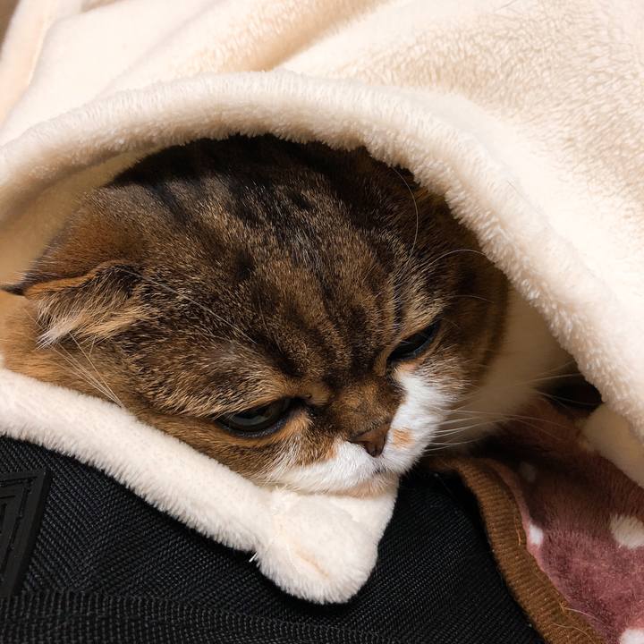 Dc9ab8e3 51d5 47e6 8bf4 5b7380e4c040 1544371539573