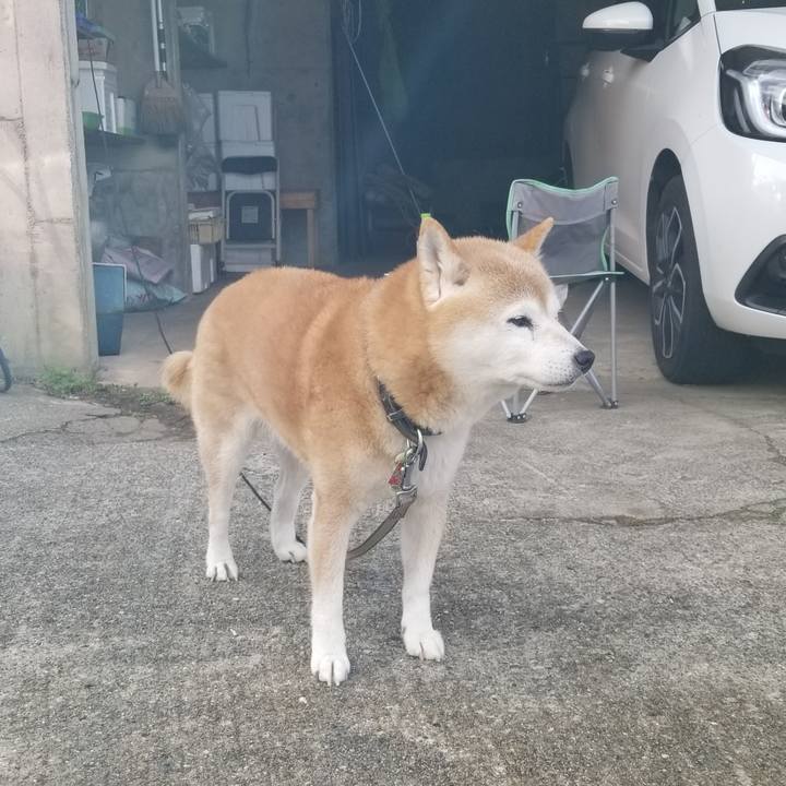 Dc9ad787 e9d9 4f5b b21e 652c87d05dc0 1697869846746