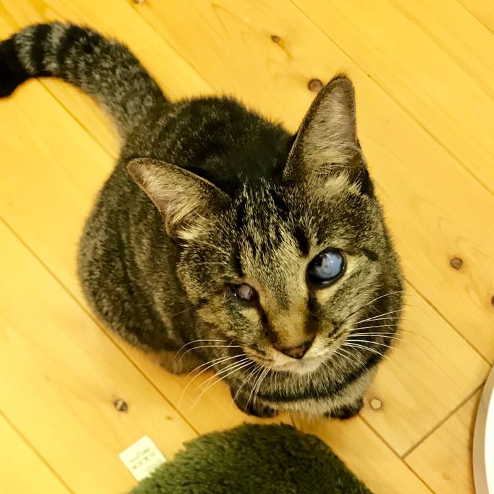 Dc9b0334 64b3 4c96 a7c8 f627a7e22a95 1541841551004