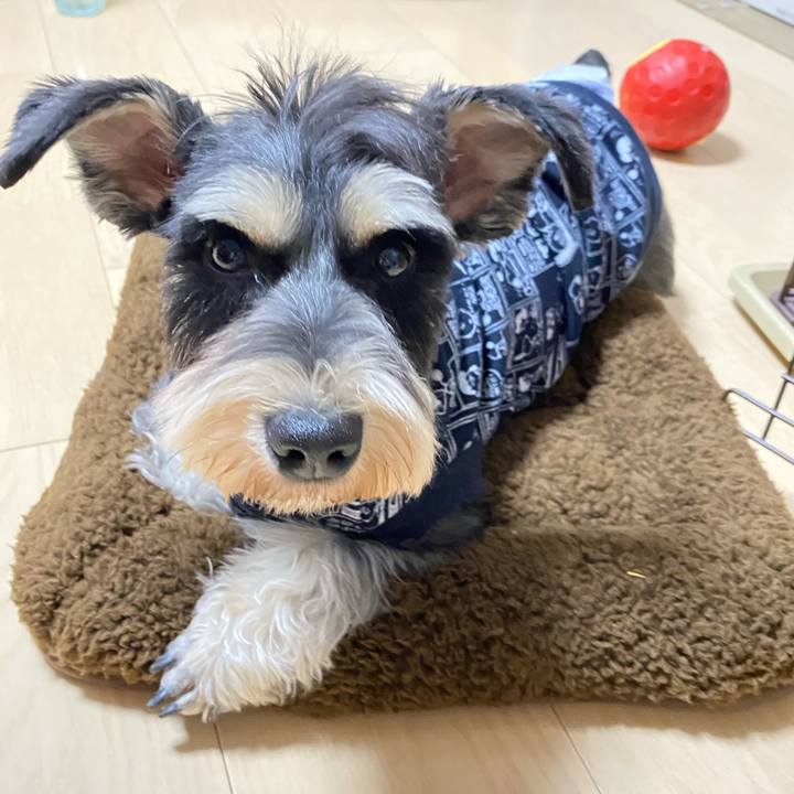 Dc9b7ddd 4a5d 4885 a033 210627ea75bc 1609586461575