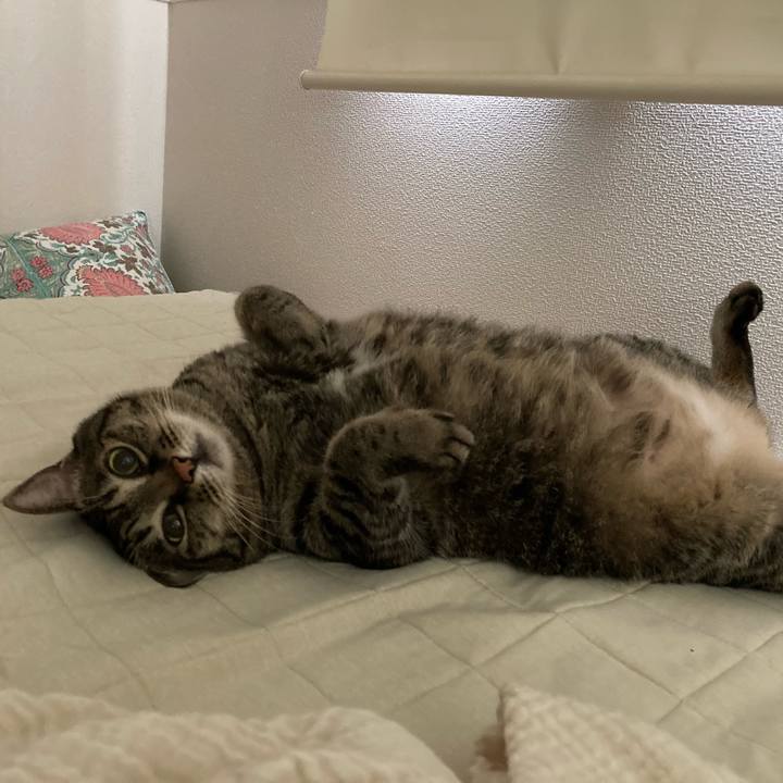 Dc9ba332 194a 4b71 8864 89db70eec93d 1754195752350