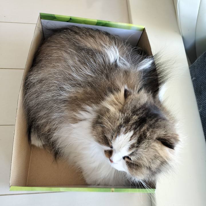 Dc9ba700 9284 4261 bad2 eeee69412894 1760315296609