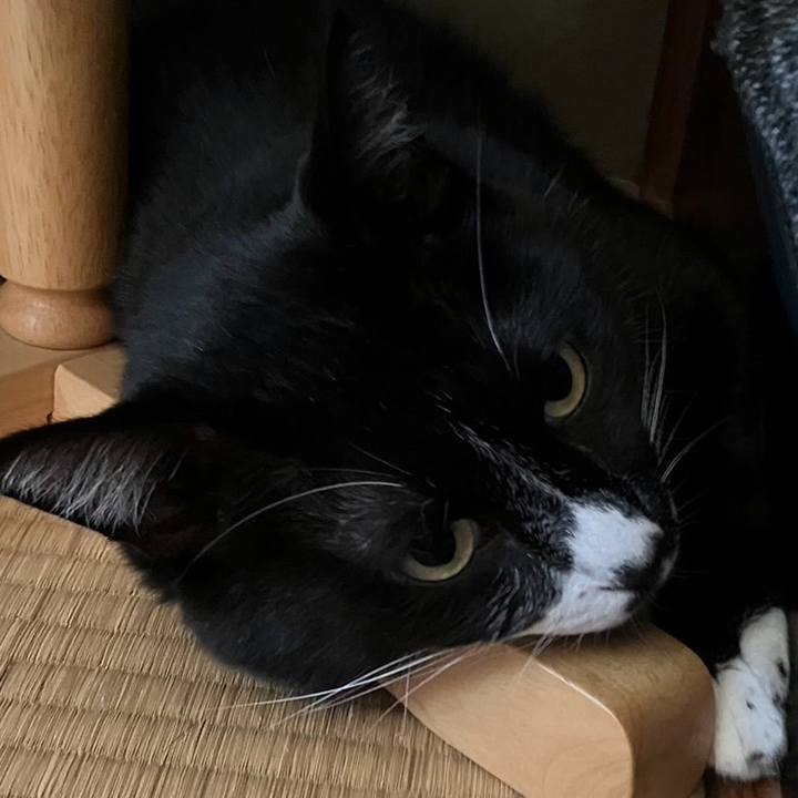 Dc9bac96 8992 4ca5 9de3 98fd23065d74 1730533727796