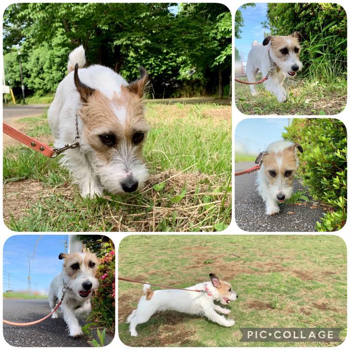 Dc9c30b1 4007 4ac2 8f8a 648a707eac25 1622422317320