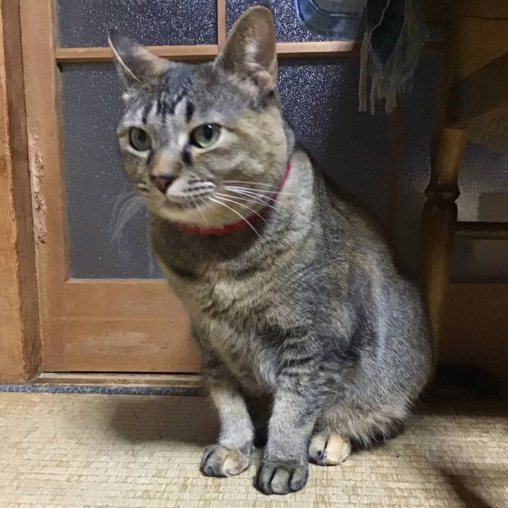 Dc9c4aef 7de3 4634 8dc1 1e0900d58aea 1681130921266