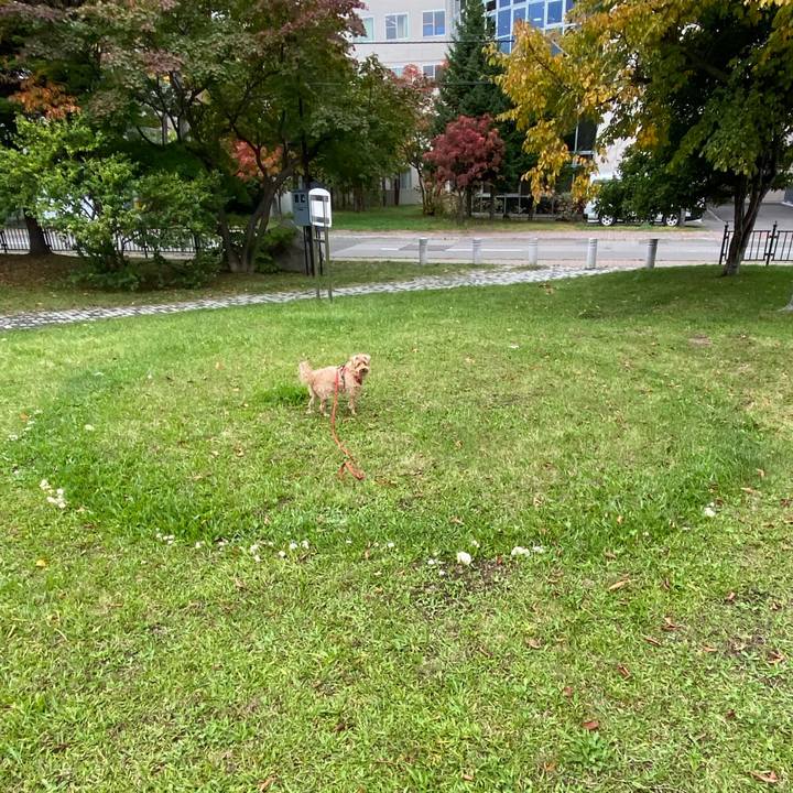 Dc9c4d26 4e4a 45a7 b171 4b9f0e3f8512 1665788119199