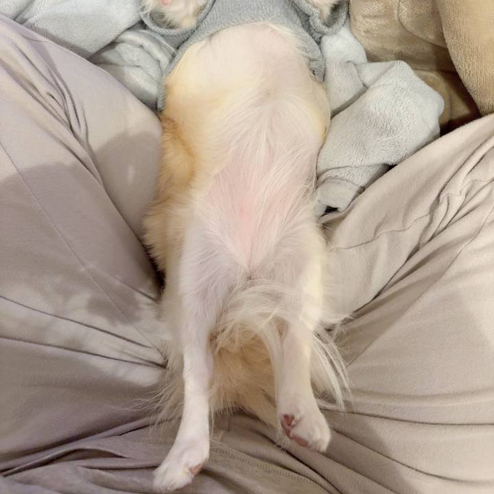 Dc9ca306 e9f2 46f7 9604 c3664d8e6cd8 1775043324398