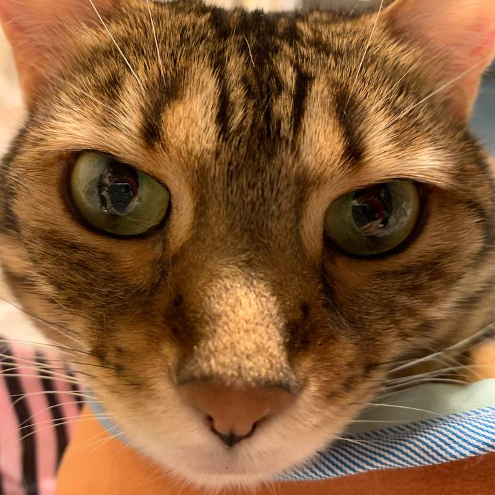 Dc9d57b7 c303 4f63 b1da 1ede5c7c861c 1592001664468