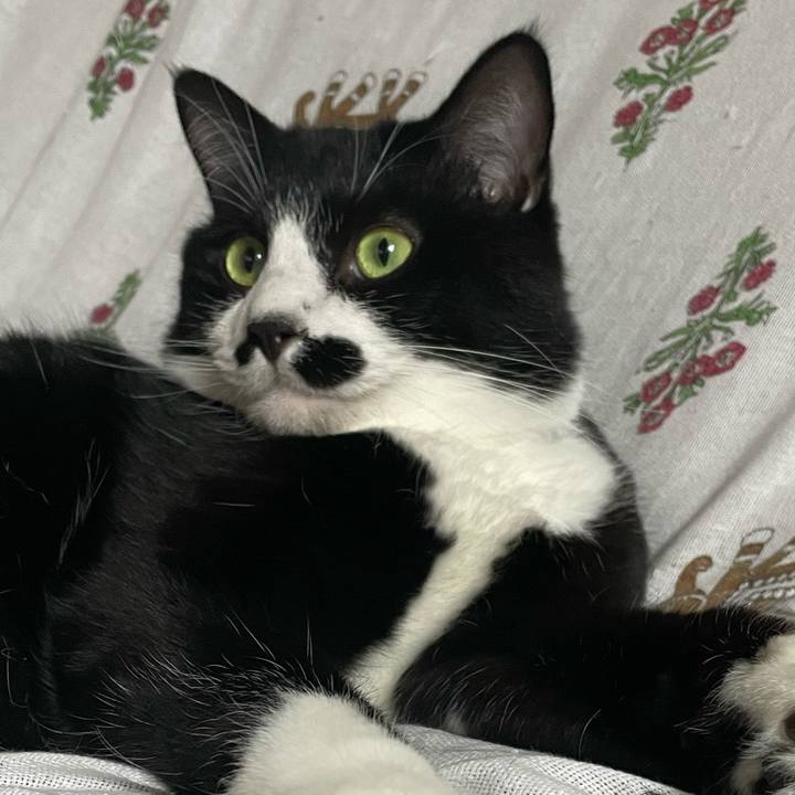 Dc9d7752 5500 4e17 8277 aa71d1f7831f 1694151872430