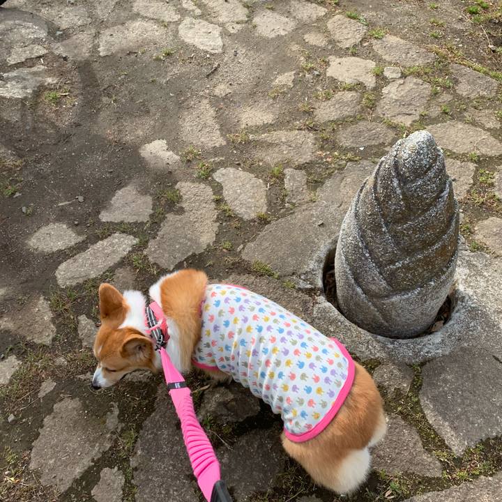 Dc9d8892 6beb 4740 aeb7 6b673e3f41af 1588578184919