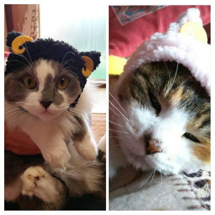 Dc9da95c b466 4b33 973f fd73443e4dc6 1585466123408