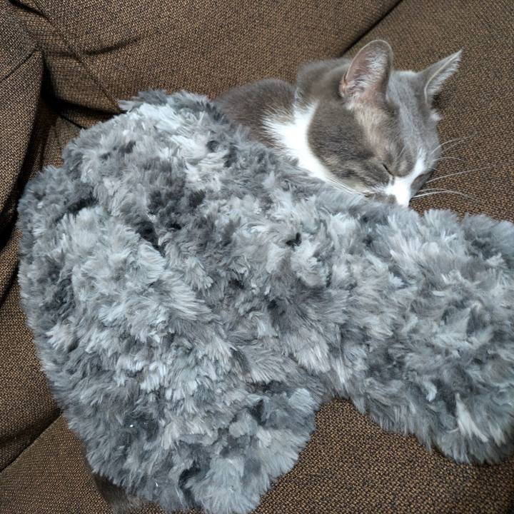 Dc9dbabc f3f3 443a 9269 29ff27861f7d 1730082069365