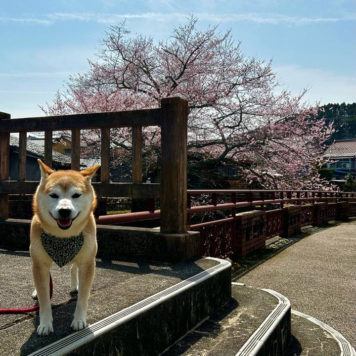 Dc9dea1d 634f 4cb3 a058 750e0f0234bc 1712055807567