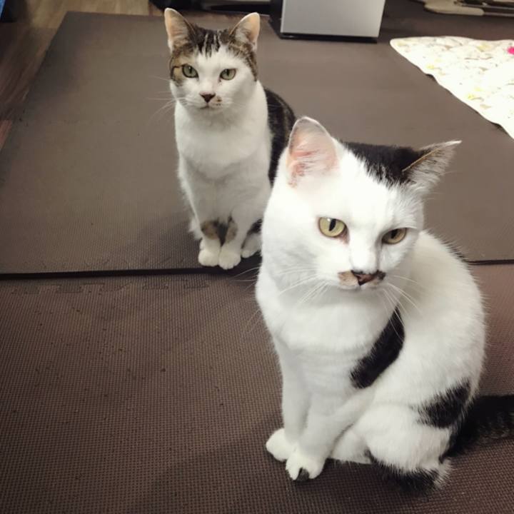 Dc9deaa3 374f 476a ab7c 1af49f20cf82 1625275475167