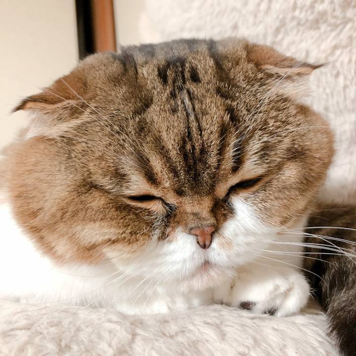 Dc9e33d6 c251 4ad1 aad8 7a08eeebf93d 1577974634729