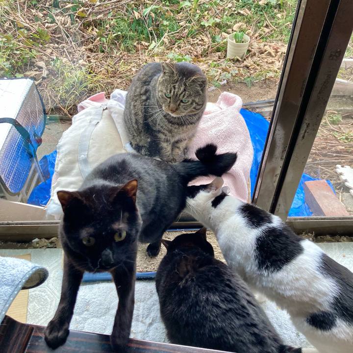 Dc9e4216 849d 46dd b926 f331cdc168e8 1677827544782