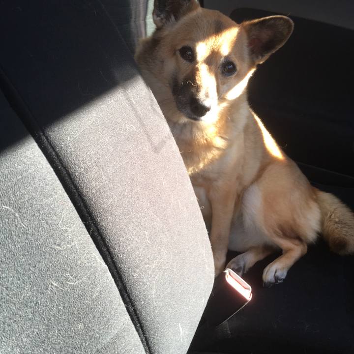 Dc9e44d4 be39 4350 b153 f2716bef53b3 1515899625840