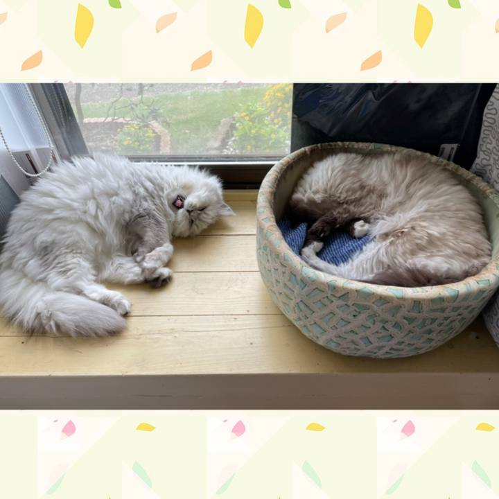 Dc9edafb 77ba 4a8c 9cc4 6295a69f02bc 1662705402324