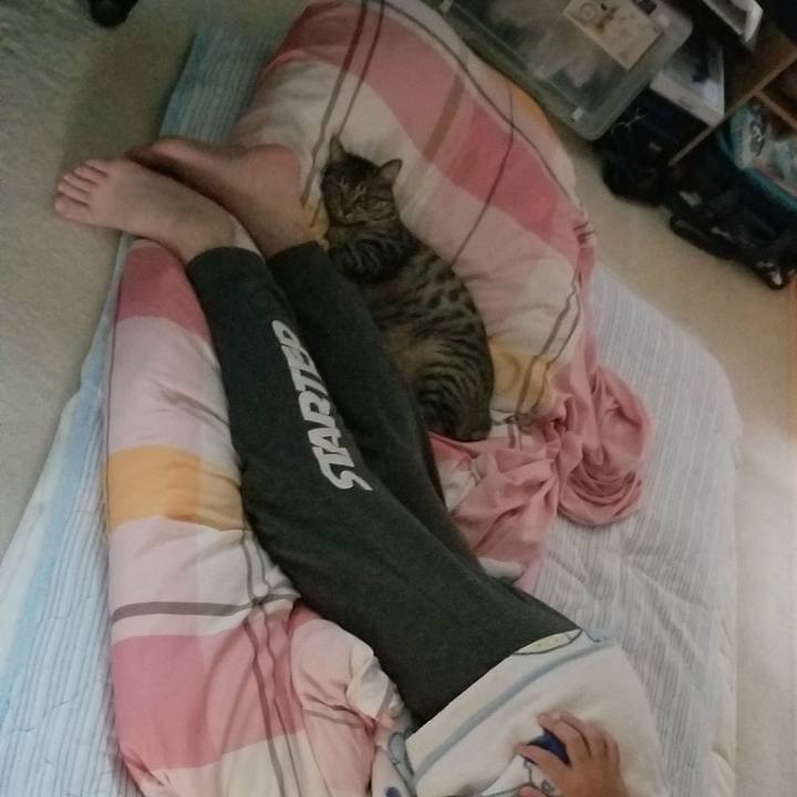 Dc9ef8ec 6c14 48f7 9a16 fa8fdb50a1e2 1691238517719