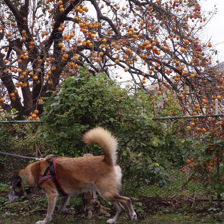 Dc9f37b9 b454 48bf a74a 56edd8c63838 1539394378700