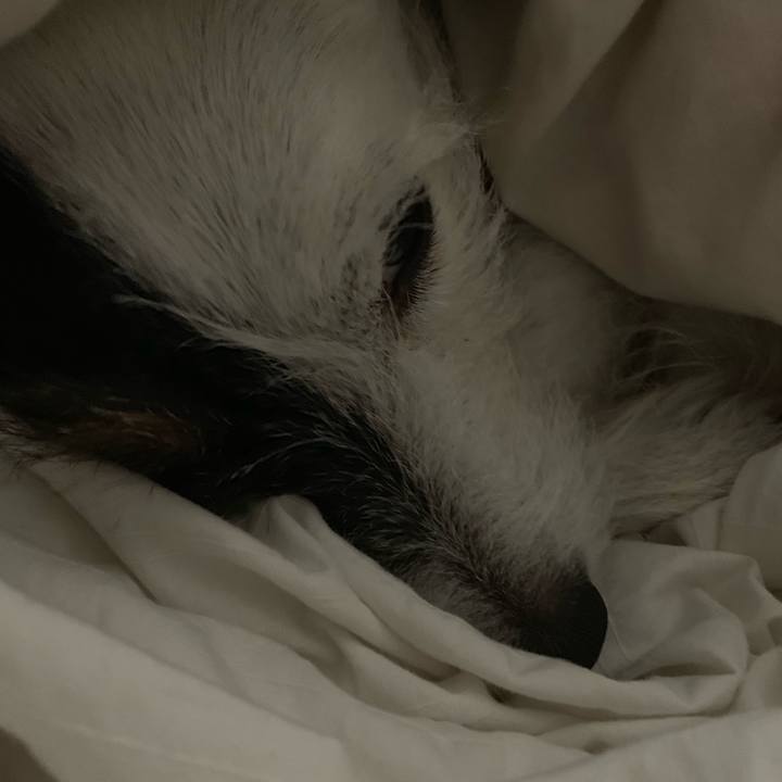 Dc9f42d9 a02b 4166 8453 e92b09cccb82 1548078522264