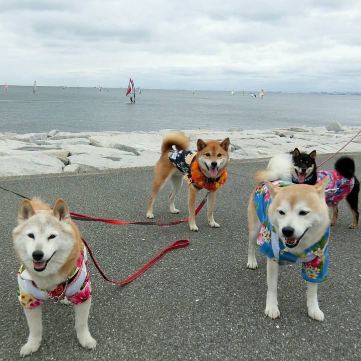 Dc9fce24 0052 42c9 a859 aea4fa68ea91 1563199329283