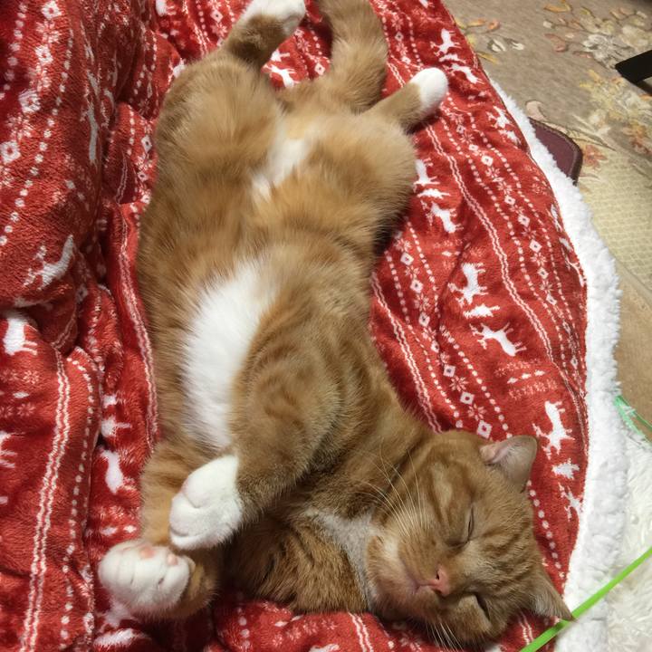 Dca03f95 d9d6 4302 ab04 e71905ca335a 1520140171917