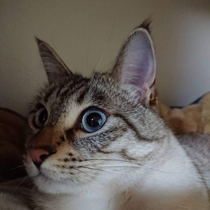 Dca06b75 31ed 4f51 9777 de5b0501594f 1555241007504