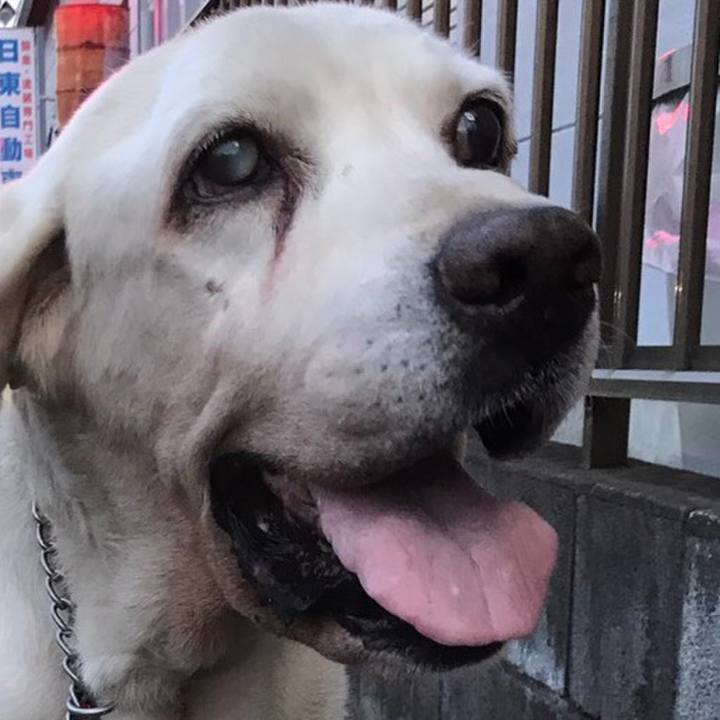 Dca0be2f a25b 47b0 83c9 2e573457182c 1541017891660