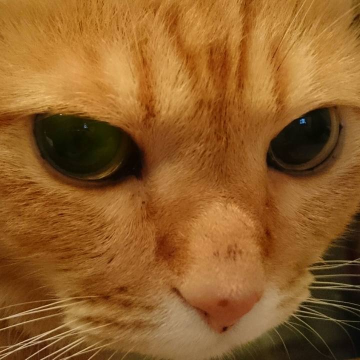 Dca0f55a 7188 43f8 95d3 b007d7be3928 1508596772167