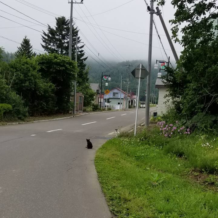 Dca0f711 c215 4099 afca fea48c9c1318 1562658246164