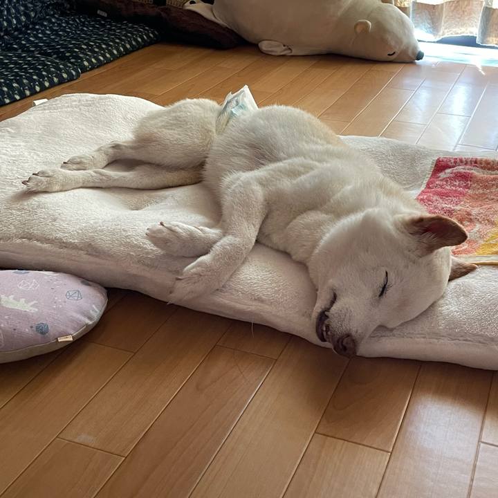 Dca0fe1b eeed 4b95 8eb5 54ae7f61330f 1663034601365