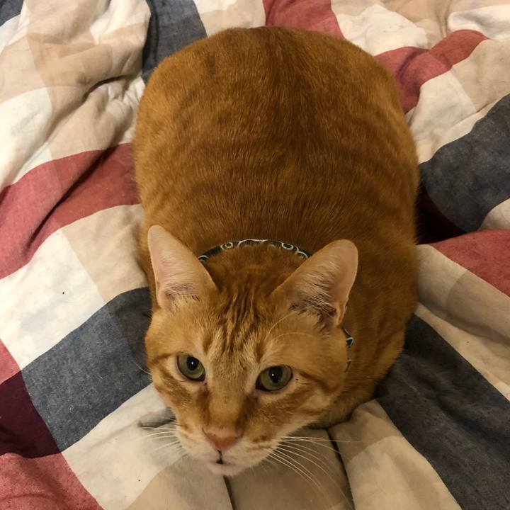 Dca11836 3553 4724 93c2 a8a0ef8314b3 1575973090390