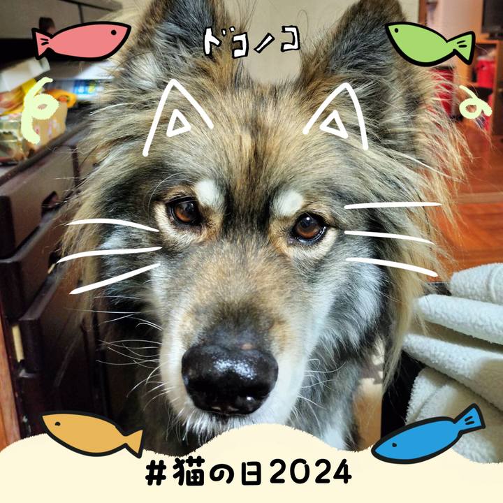 Dca11fca d7f0 4663 b43d 485423bd7114 1708592737287