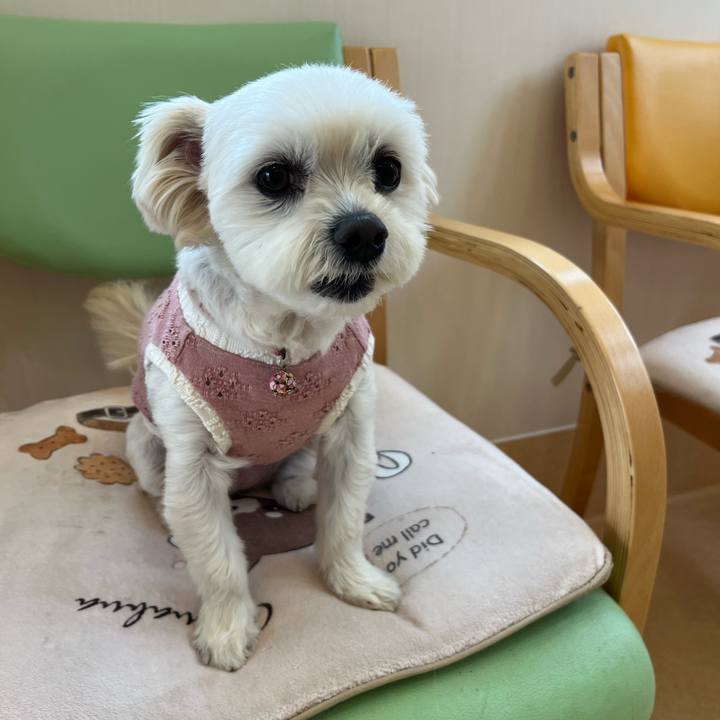 Dca14725 6f9b 40b3 97f4 7e28991efe06 1652937030742