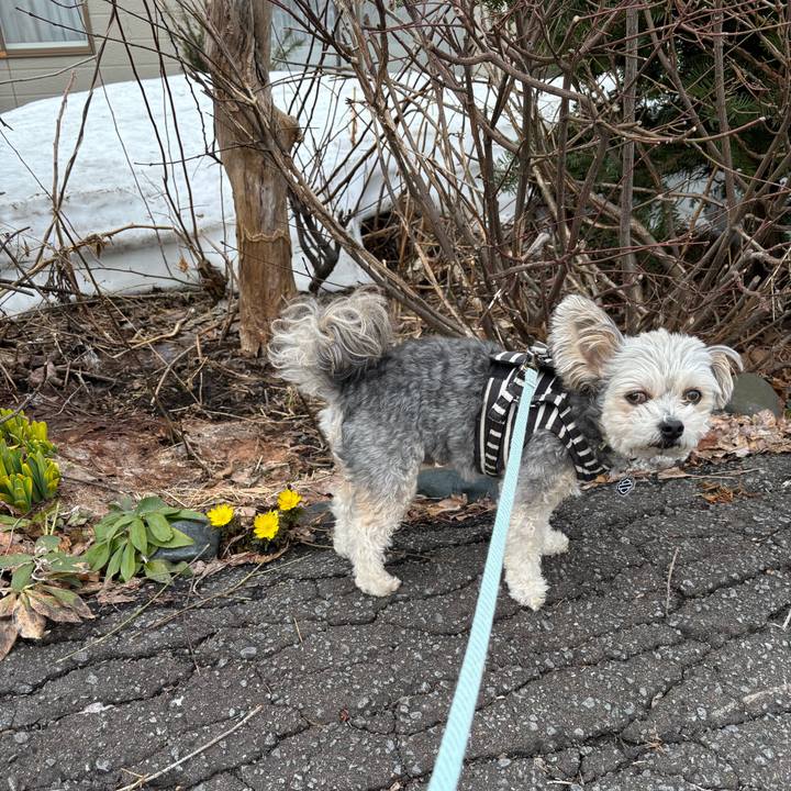 Dca14865 5502 4ea2 a2b0 0f03f4006242 1774763303212